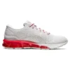 Gel-Quantum 360 VII Winterised “Grijs Rood”