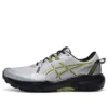 GEL-Venture 11 “Grijs Geel”