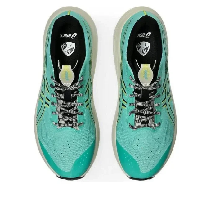 GT-2000 14 TR “Aurora Green Cacti”