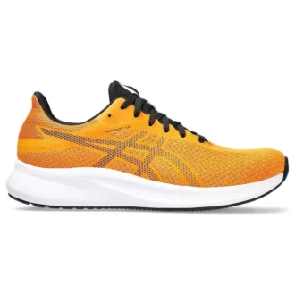 Patriot 13 “Fel Oranje”