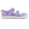 (PS) Amphibian 9 “Lavendel”