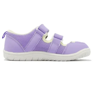 (PS) Amphibian 9 “Lavendel”