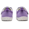(PS) Amphibian 9 “Lavendel”